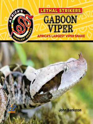 cover image of Gaboon Viper: Africa's Largest Viper Snake